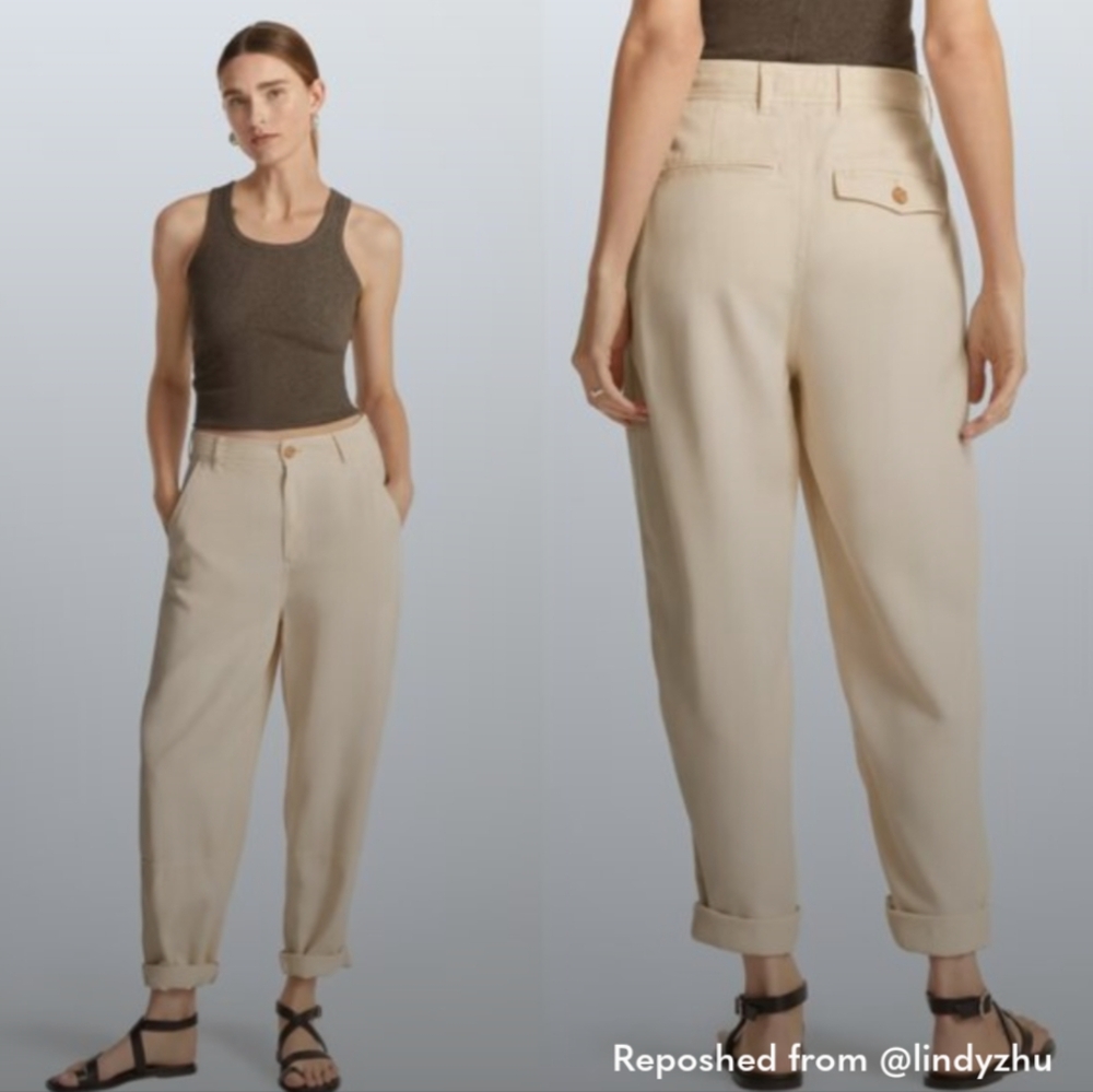 Everlane The TENCEL™ Relaxed Chino Barrel Balloon Leg Slouchy High Waisted 6